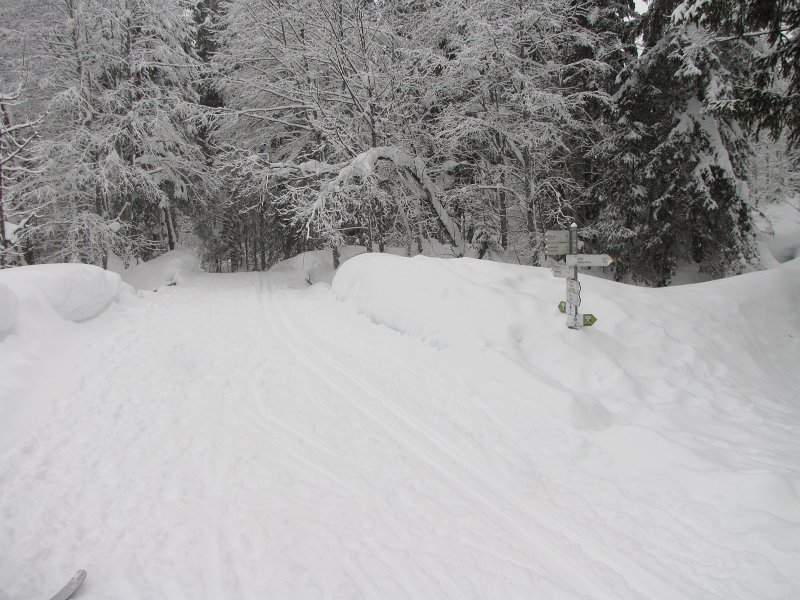 fietsbordje in sneeuw.jpg - De loipe is uitgezet op fietspaden. Normaal staat zo'n bord een meter of twee boven de grond.